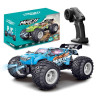 MINI RC TRUGGY