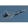 XFLY - MODEL F-22 RAPTOR TWIN 40MM EDF JET