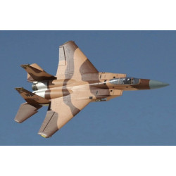 XFLY - MODEL F-15 TWIN 40MM EDF FIGHTER